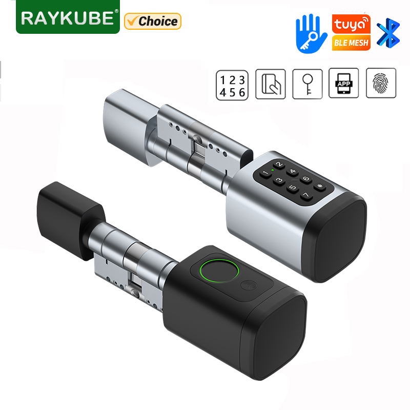 Home Automation System Diy - RAYKUBE V1 Tuya BLE TT Schloss